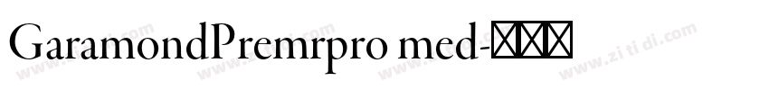 GaramondPremrpro med字体转换